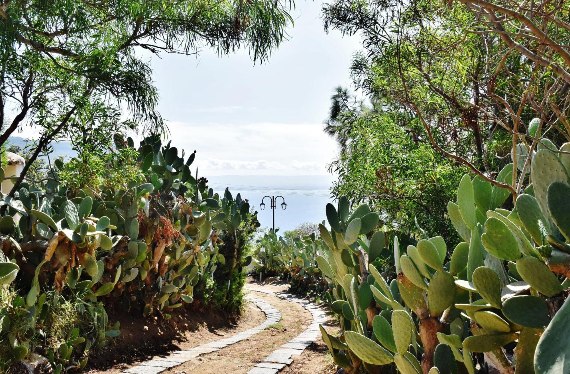 Calabria Beach Villa'S 梵蒂冈角 外观 照片